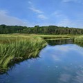 Brewster Reflections